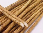 Fresh Burdock Roots