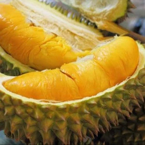 Fresh Durian Fruit / Best Quality Fresh Durian Fruit