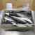 Import Fresh Fish Seafood Frozen Yellow Tail 1000-1500g On Sale from Japan