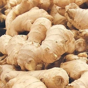 FRESH GINGER CHEAPEST LAST CROP SALE NOW!!!...