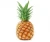 Import FRESH GOLDEN PINEAPPLE (MD2) from USA