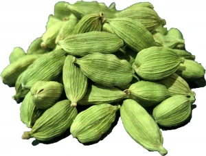 Fresh Green Cardamom/Green Cardamom/Indian Green Cardamom Bold Green Cardamom From Levante Tradex