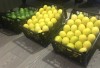 Fresh Lemon Fruits Top Sales Natural Citrus from Egypt Best quality wholesale Lemon Citrus Premium Quality Lemon for sale