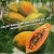 Import FRESH PAPAYA with special price from Vietnam