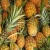 Import Fresh Pineapples from USA