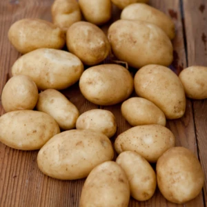 Fresh Potato/potato wholesale