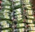 Import Fresh Vietnamese Cavendish Banana from Vietnam