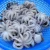 Import frozen baby octopus from United Kingdom