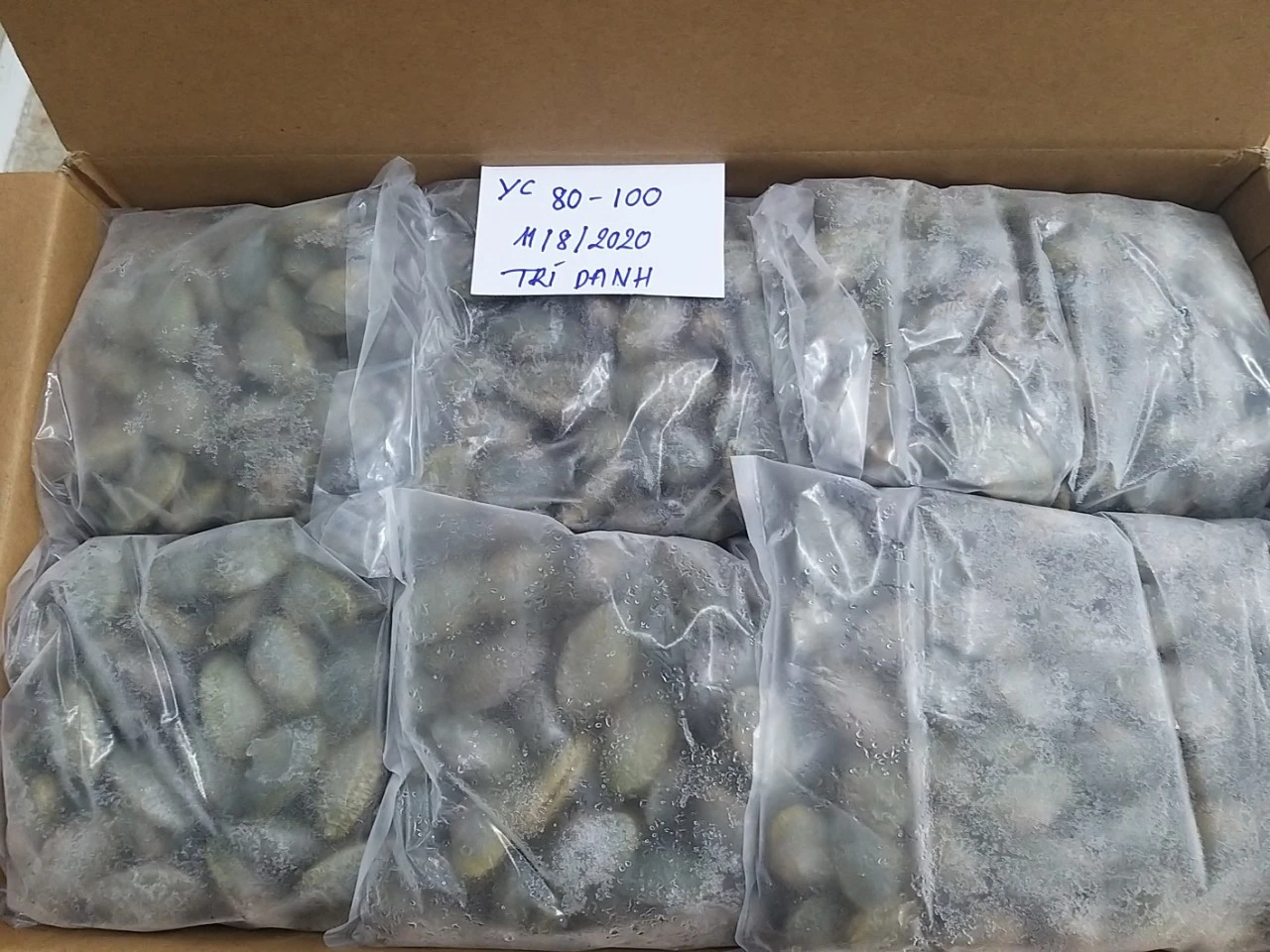 Frozen Yellow Clam Whole Round from Vietnam FOB Price Good Quality (12kg/carton) - NW: 8 kg - Glazing: 20%
