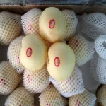 Fuji apple Chinese fruit