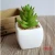 Import Garden decor artificial cactus flower mini succulent plants bonsai from China