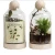 Import Garden wholesale vase clear glass terrarium plants with wooden base and wooden ball top from China
