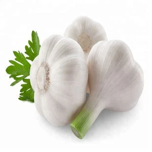 GMP Factory Supply 100% Pure Garlic Extract 5% Allicin