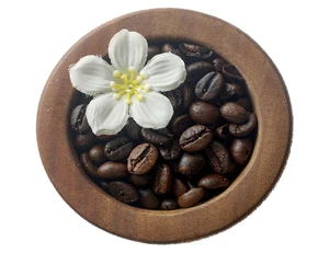 Good choice- Good price - Good Quality Products - ROBUSTA ROASTED COFFEE BEANS