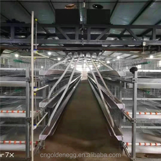 Great Farm Chicken Cage Sale For Ecuador For Chicken Farm Poultry Equipment For Sale
