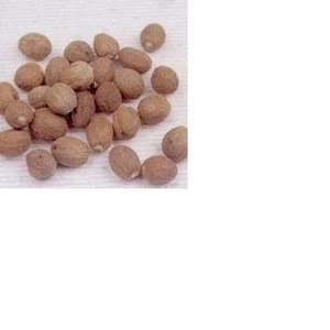 GREAT QUALITY NUTMEG WITH WHOLESALE PRICE