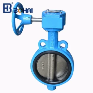 Handwheel A216 Wcb Double NBR Seat Wafer Butterfly Valve