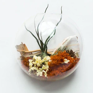 Hanging Glass Vase,Flower Vase Planter Terrarium Container Vases Pot Wedding Decor
