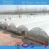 Heat preservation 8m span grow vegetables green house sheets