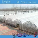Heat preservation 8m span grow vegetables green house sheets
