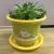 Import High-end printing pattern plastic pots containers for plants from China
