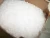 Import high purity EGYPTIAN Rock Street Salt for Export 99% from Egypt