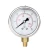 Import high quality 60mm 0-6bar 0-25bar 0-1.6mpa ss304 shell brass connection water pressure gauge from China