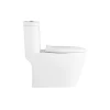 High quality cheaper price siphon jet flushing elongated one-piece ceramic toilet bowl commode