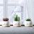 Import High Quality Cute Cat Shape Animal Succulent Plant Flower Pots With Tray from China
