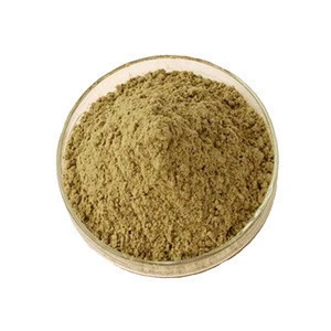 High Quality Fresh Green Coffee Powder from Peru