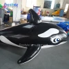 High quality inflatable dolphin plastic whale ride on water toys