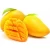 Import High quality made by Vietnamese Frozen Mango fruit from Vietnam