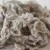 Import High Quality Raw White Licker In Cotton Waste from India from Thailand
