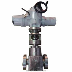 High-temperature steam service Rotork Rotork Electric Actuator with side handwheelForging Flange connect Control Valve
