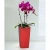 Import Home Decoration Plastic Flower Pot from China