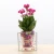 Import Home Decorative Desktop Balcony Flower Pots Self Watering 2 in 1 Crystal Cube Fish Tank Planters from China