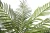 Home garden Simulation plastic plant 120cm 150cm 160cm 200cm 210cm 220cm artificial areca palm trees