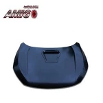 Hood Cover for Civic Type-R+