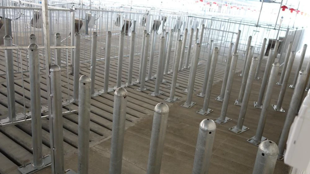 hot dip galvanized mating animal cages pig cages
