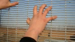 Hot Dipped Galvanized  Welded 358 Clear View Fence Mesh Panel