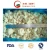 Import Hot Sale Export Quality Frozen Cauliflower and Frozen Vegetables from China