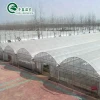 hot sale film tunnel agricultural greenhouse