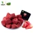 Import Hot sale freeze dried fruit frozen dried strawberries from China