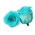 Import Hot sale Natural flowers forever rose Preserved roses head in box for Mother&#x27;s day gift from China