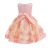 Import hot sale princess  baby clothing dress  new style baby girls summer flower party dress from China