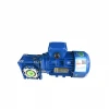 Hot Sale Worm Gearbox Reducer With Electric Motor
