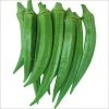 hot selling Fresh Vegetables fresh Okra , Ladyfinger , bhindi from (Naqshbandi Enterprises) Pakistan