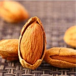 Hot Selling Inshell Nuts Badam with best price