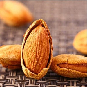 Hot Selling Inshell Nuts Badam with best price