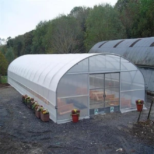 Hot selling Low Cost Agricultural Farm Commercial Green House